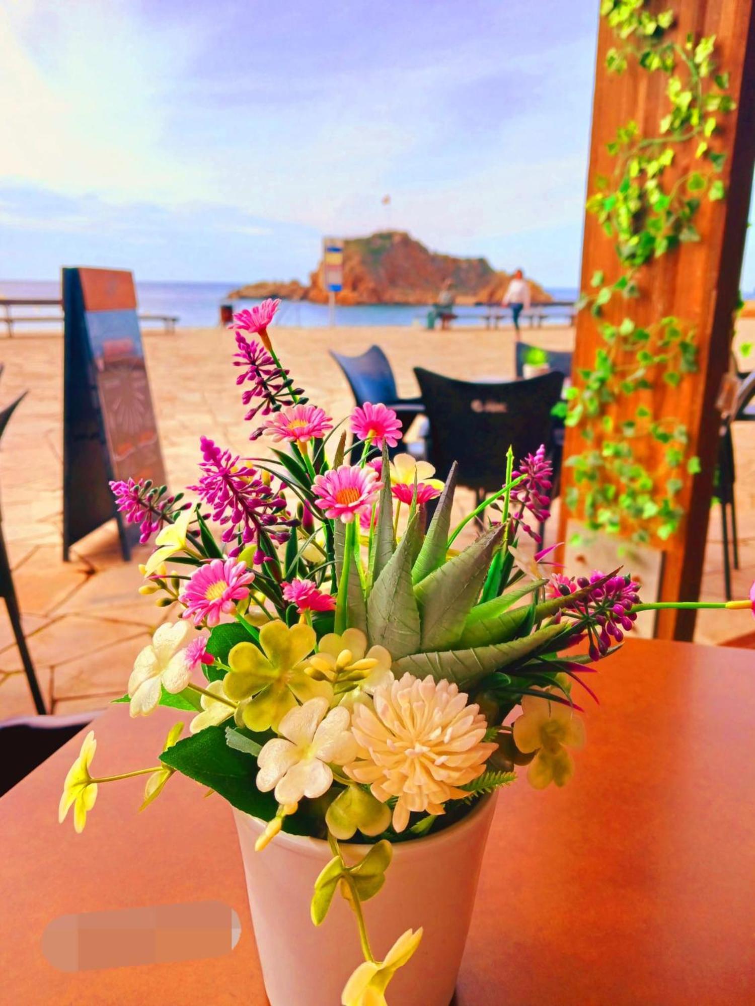 2 Bedroom Large Modern Apartment In Blanes Old Town 50M From The Beach! エクステリア 写真